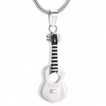 RVS Ashanger Gitaar