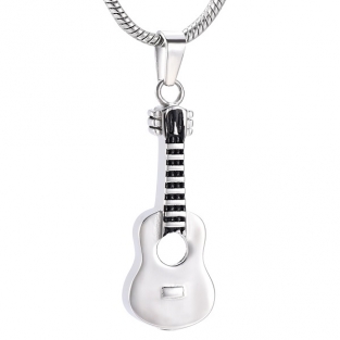 RVS Ashanger Gitaar