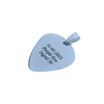 Plectrum Ketting Zilver