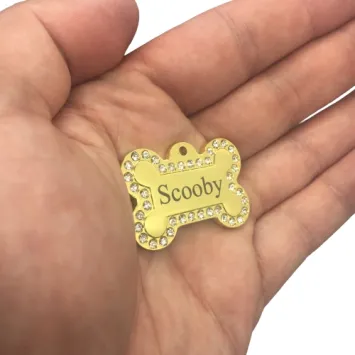 Kleine Gouden Dierenpenning Botje met Swarovski Kristallen