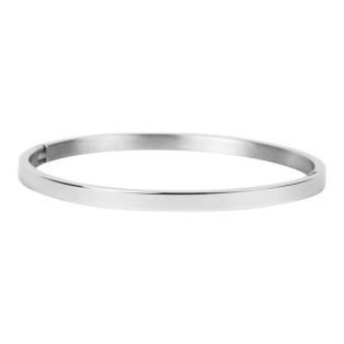 RVS Slavenarmband 4mm Zilver